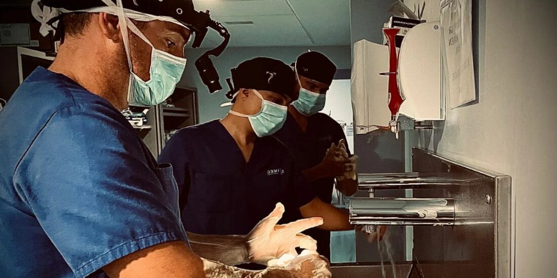 Recambio de protesis de cadera en pacientes intervenidos